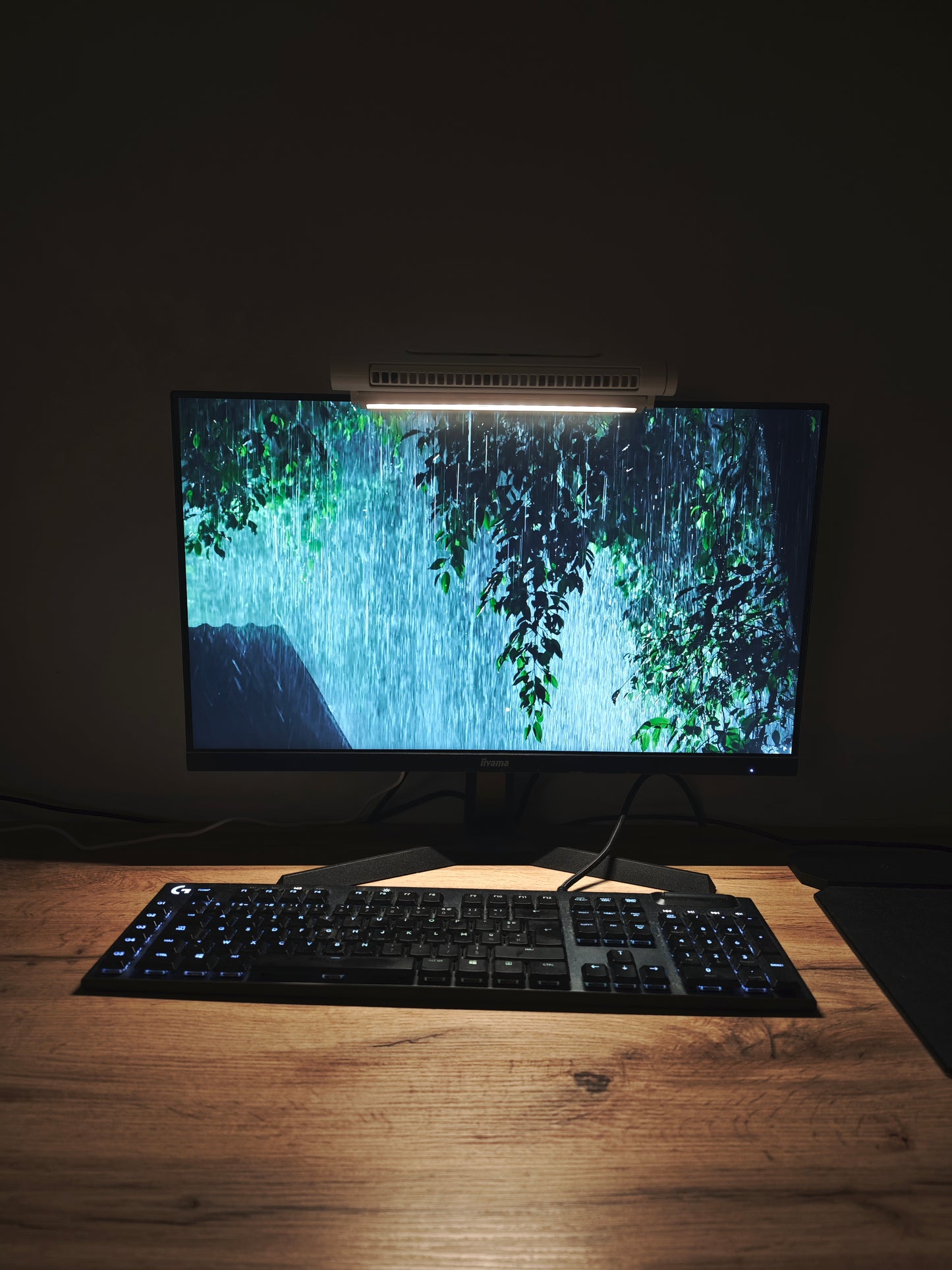 Ventilateur/lampe d'écran  2 en 1                                                                                                                                                          